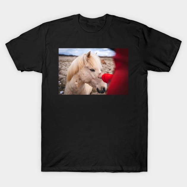 Men Meeting with Icelandic White Horse T-Shirt by Danny Wanders